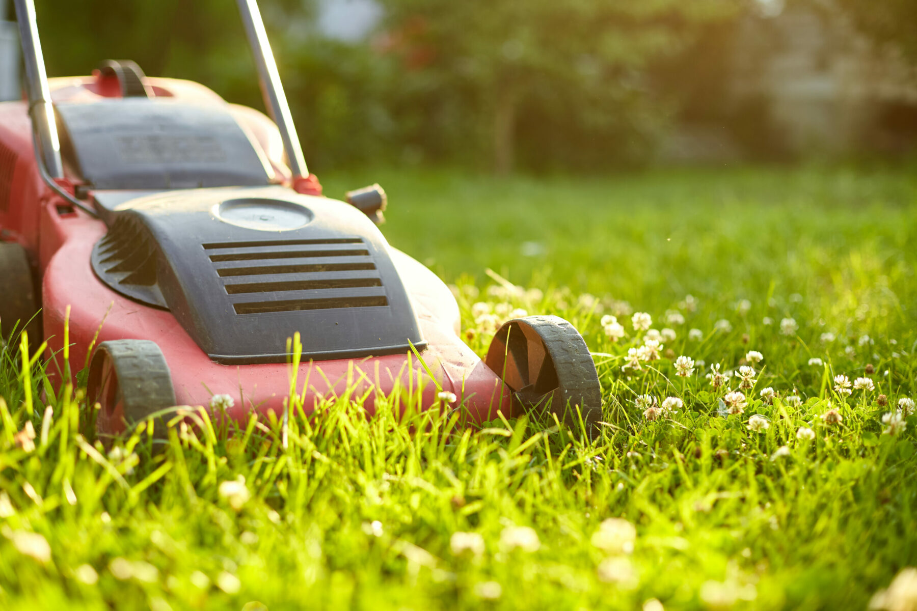 Gartenservice Kiel Gartenservice Kiel